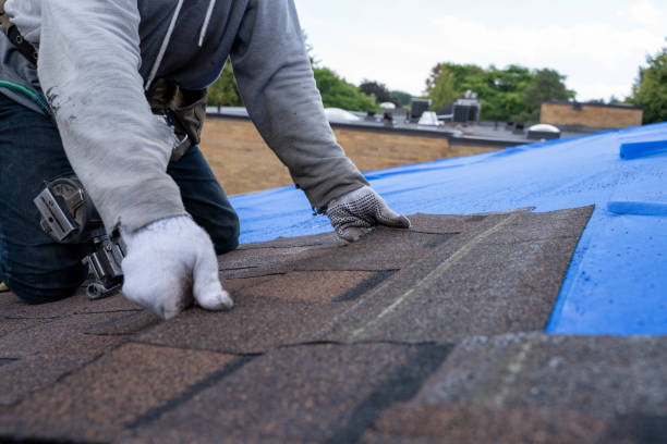 Best Emergency Roof Repair  in Leesburg, GA