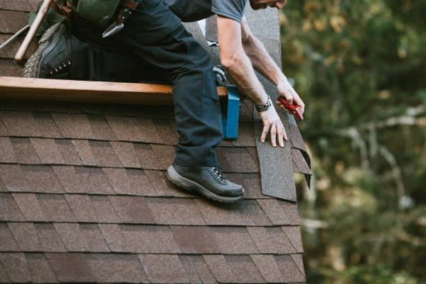 Best Roof Repair Services  in Leesburg, GA