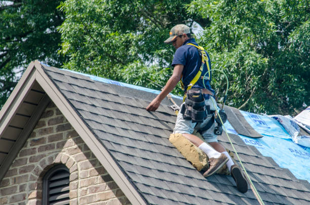 Best Roof Restoration Services  in Leesburg, GA