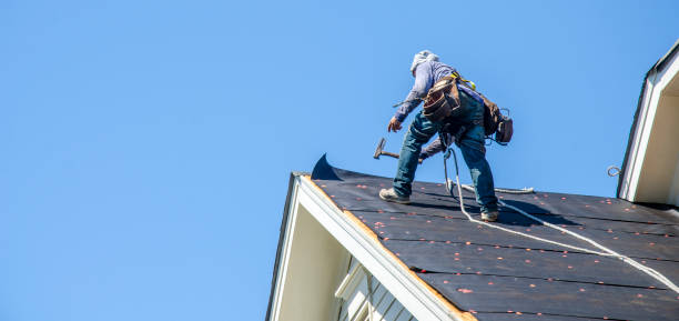 Best Gutter Installation and Roofing  in Leesburg, GA
